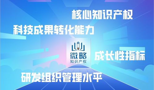 企業(yè)為何選擇代理機構(gòu)申報高新技術(shù)企業(yè) 優(yōu)勢與模型設(shè)計解析